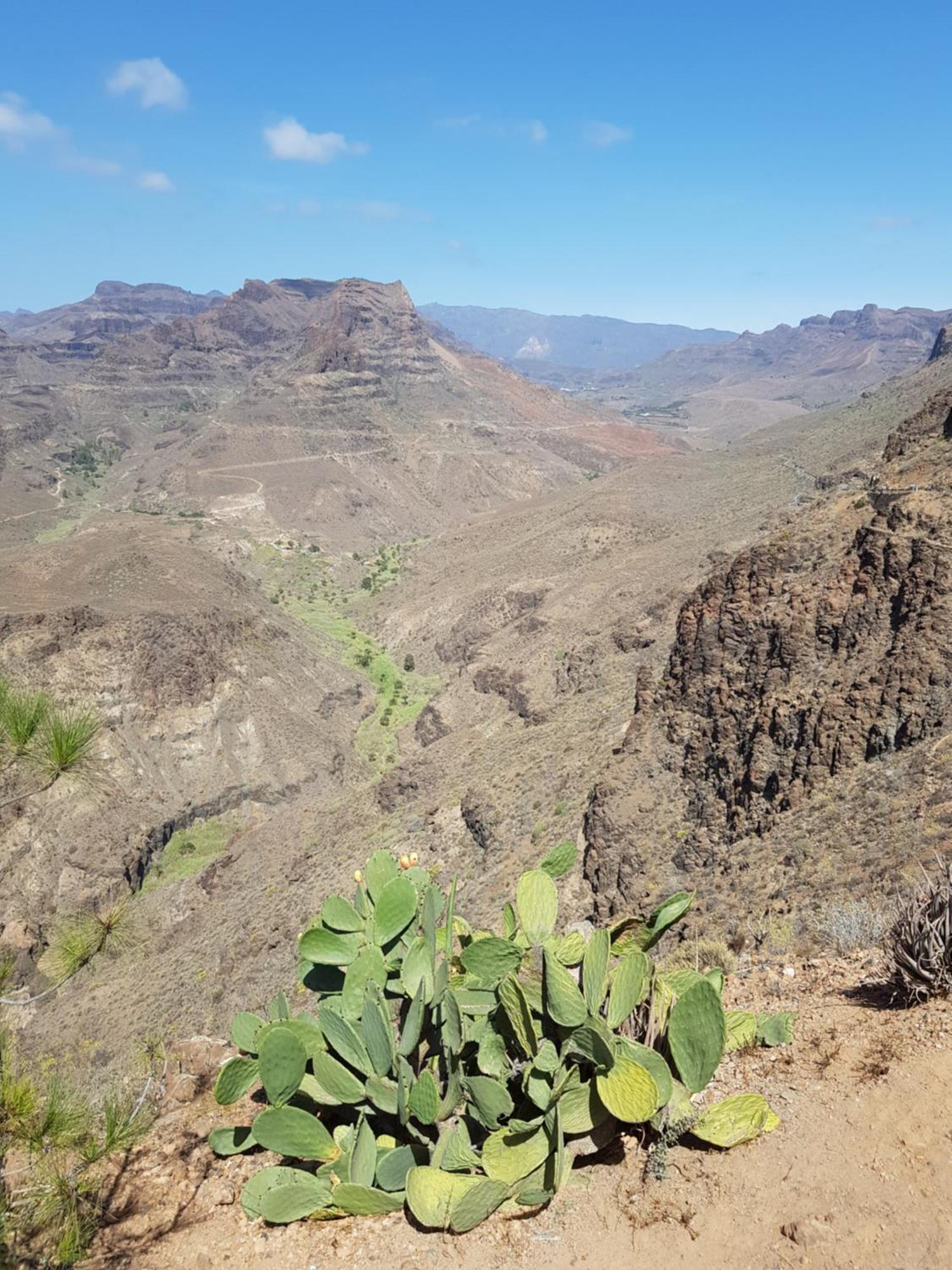 Villa Diana With Private Swimming Pool In Tauro Mogán المظهر الخارجي الصورة